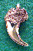 Click here for an 
enlarged JPEG image.