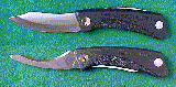 larger image