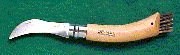 Click here for image.
