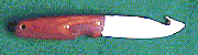larger image