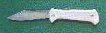 larger image