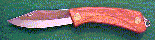 larger image