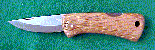 larger image
