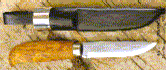 Click here for image. (22kb)