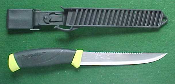 Knife with fish scaler on back?